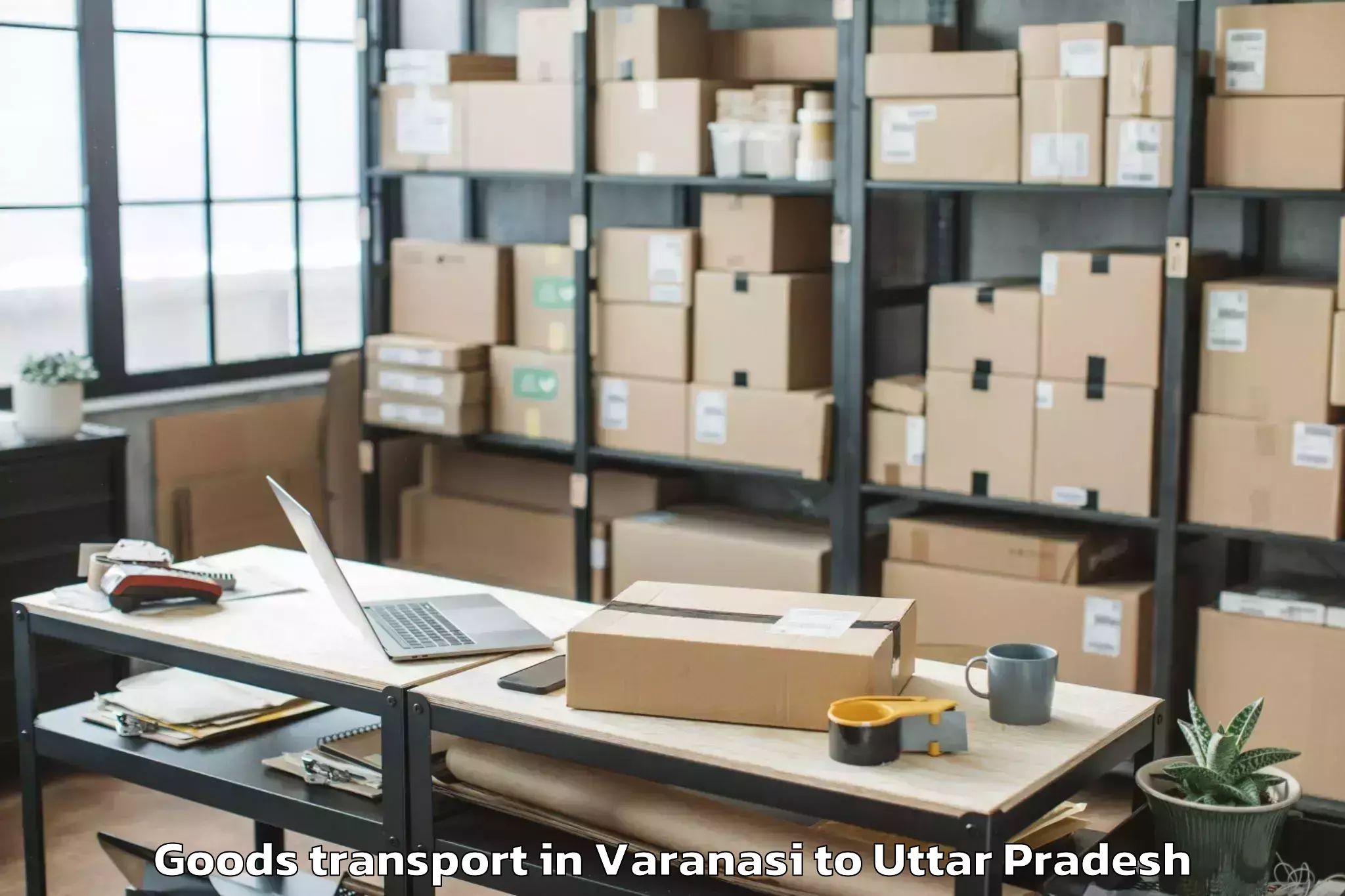 Trusted Varanasi to Babugarh Goods Transport